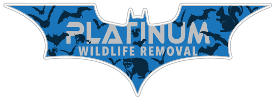 Wildlife Removal Defiance County