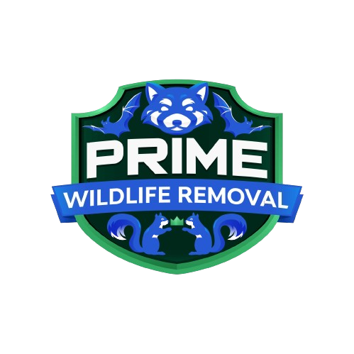 Wildlife Removal Defiance County